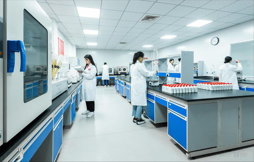 白酒科技赋能微生物服务 茅台镇国台酒的现代化启示