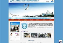 服务行业网站建设与设计 信息技术咨询服务的实践与案例