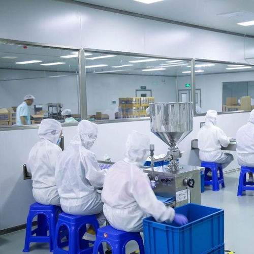 专业功效护肤科技工厂 信息技术咨询服务如何精准捕捉市场需求